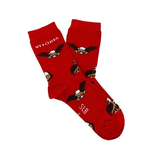 CHULÉZINHO S.L.B. - Águia Vitória