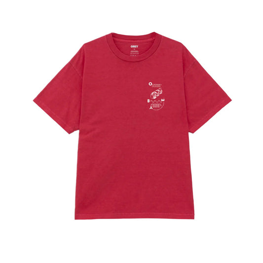 OBEY Outside Looking In Pigment Box T-Shirt
