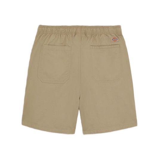 Dickies Pelican Rapids Shorts