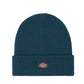 Dickies Gibsland Beanie