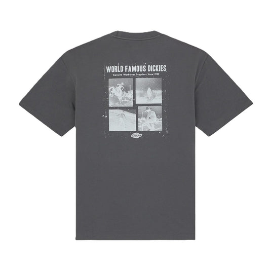 Dickies Wolfhurst T-Shirt