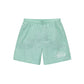 Stussy Big Stock Water Short